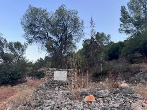 תמונה של יער קליגלר