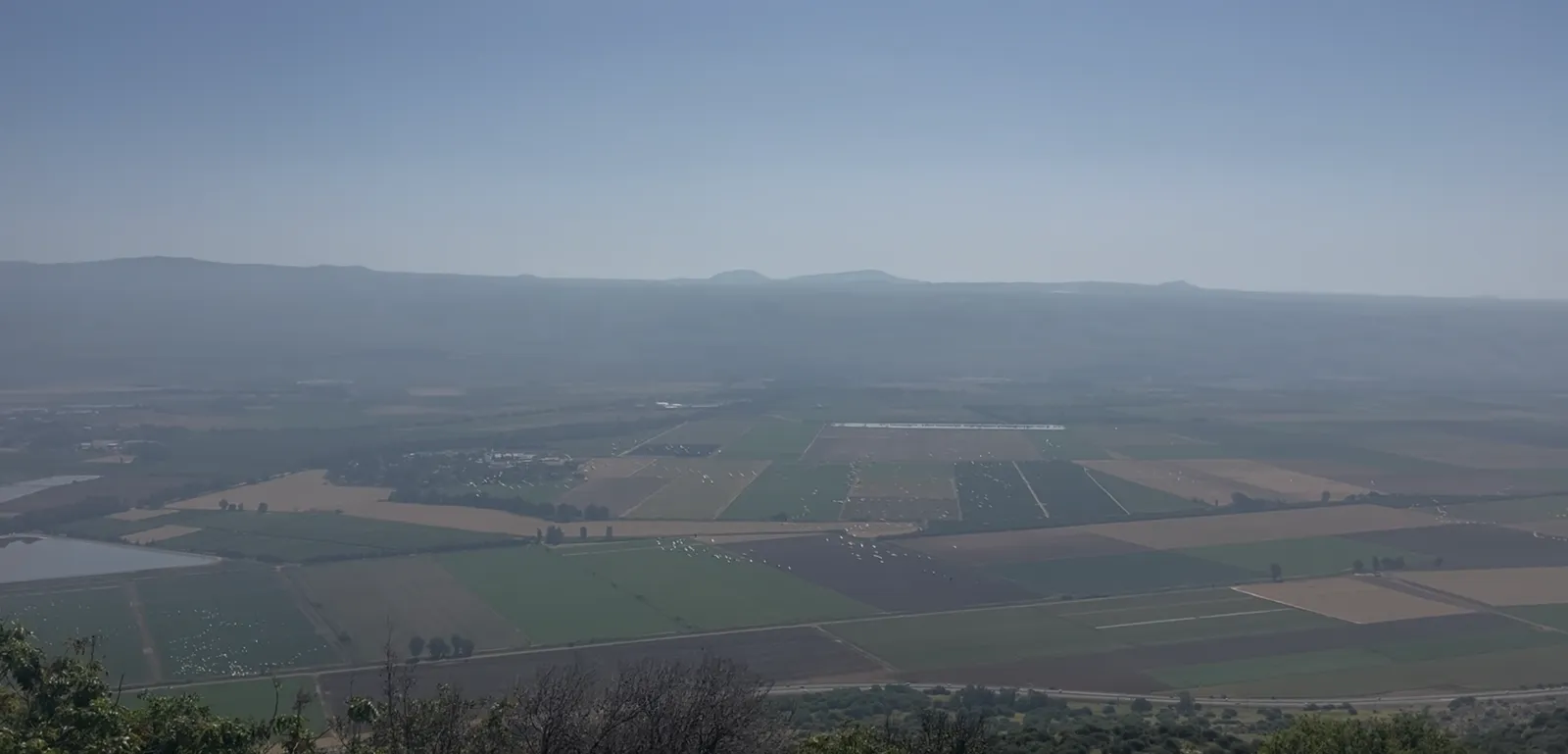 חסידות