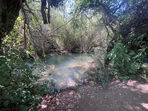 תמונה של פינות רבות לנוח