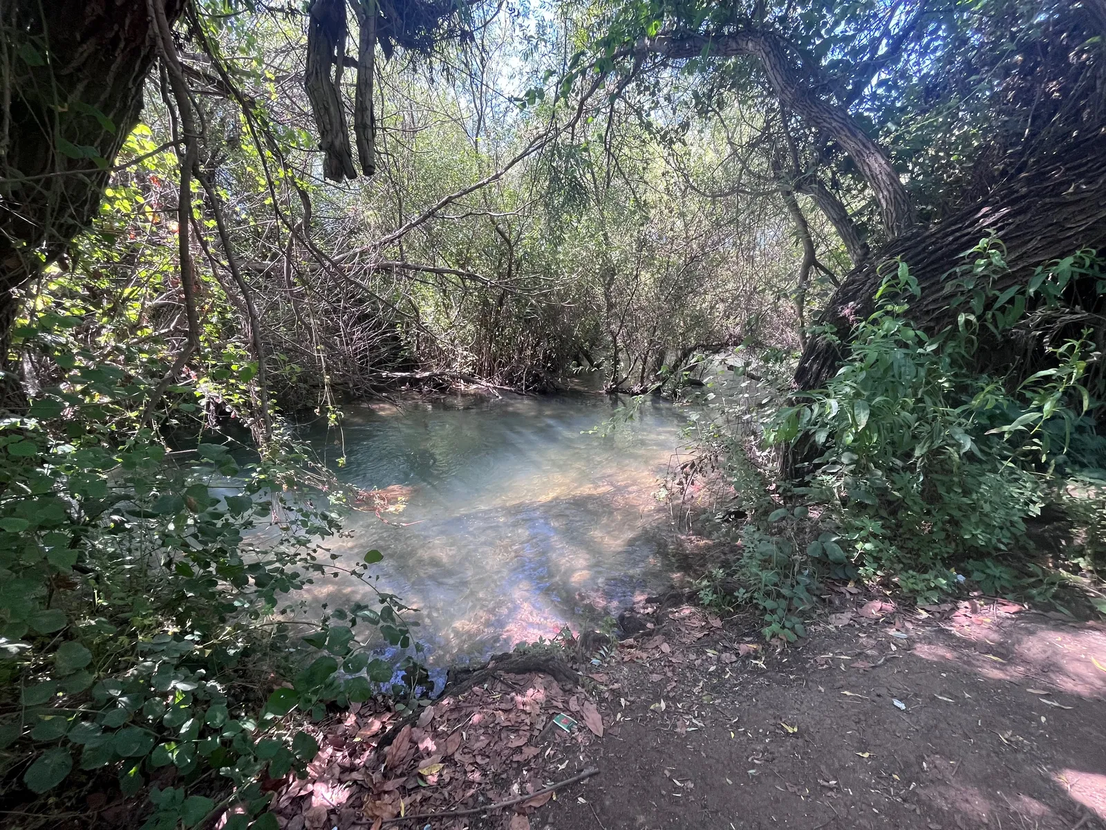 פינות רבות לנוח