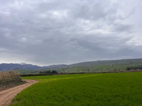 תמונה של תצפית לחרמון