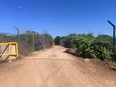תמונה של גשר מעל נחל דן